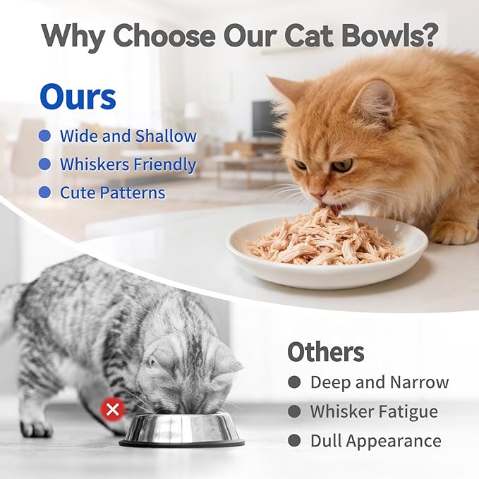 8 Pack Ceramic Cat Food Bowl, No Spill Cat Bowls Whisker-Friendly, Cute 5.9" Shallow Wide Kitten Plates, Easy to Clean Indoor Feeding Dishes
