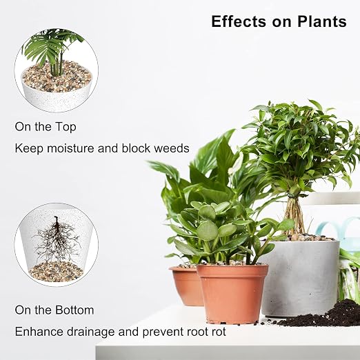 GASPRO 2.5 lb Decorative Pebbles for Plants, 3/8 Inch Mixed Color Rocks, Small Stones for Indoor Planters, Succulents & Vase Filler, Pea Gravel for Aquariums
