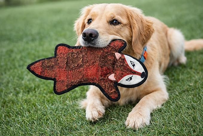 Jalousie 5 Pack Ultra Tough No Stuffing Squeaky Dog Toys for Large Dogs No Mess Interactive Durable Plush Chew Toy Indestructible Dog 6 Layers (5 Pack Ultra Tough Canvas Oxford, Small to Medium)