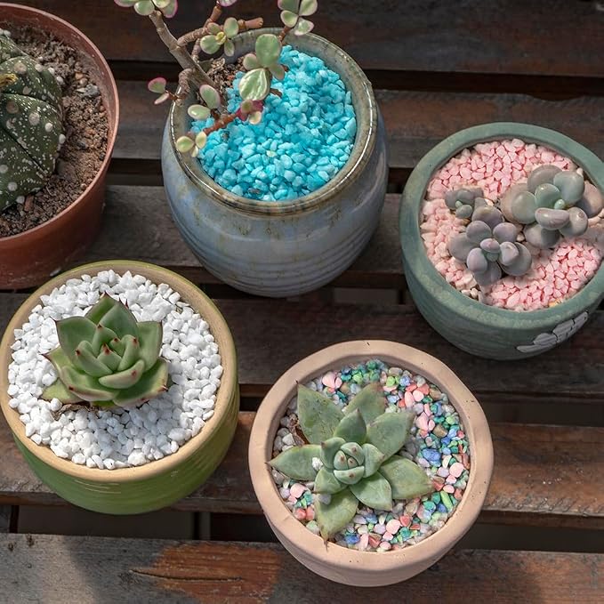 0.88 LB Colored Pea Gravel,Succulent Cactus Topper Dressing Pebbles,3-5mm | Indoor Plants,Fairy Garden Terrarium,Polished Mini Stones for Aquarium Fish Tank,Vase Filler,Resin Arts Crafts