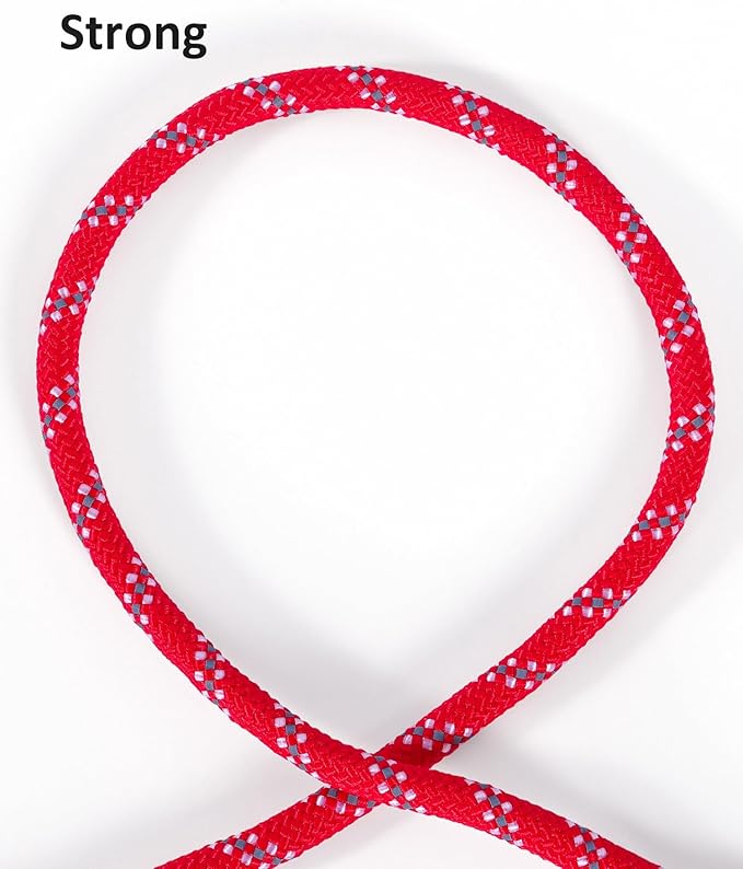Long Dog Leash for Dog Training 100FT, Heavy Duty Dog Lead for Large Medium Small Dogs Outside Walking, Playing, Camping, or Yard,Red