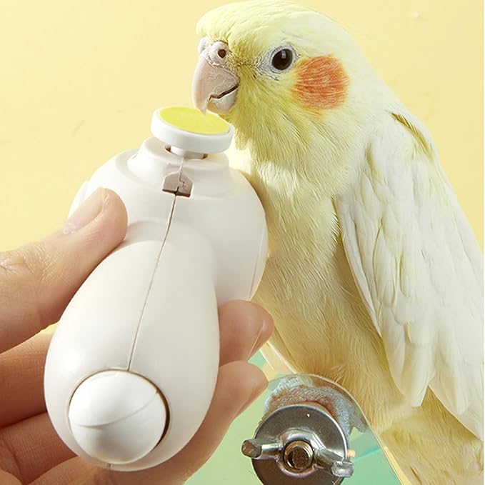 Rechargeable Parrot Nail Trimmer - Quiet Beak Grinder with 6 Heads | Grooming and Trimming Tool for Budgerigars and Birds, Low-Noise Electric Bird Nail File, Gentle Care Tool for Claws and Beaks