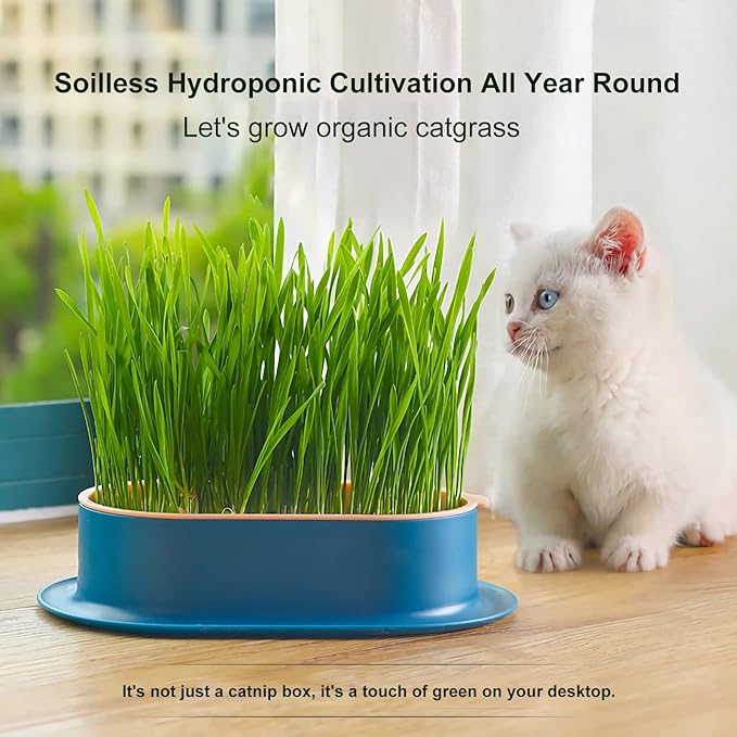 3Pcs Cat Grass Planter Hydroponic Catnip Wheatgrass Seed Sprout Tray Cat Grass Growing Kit Nursery Plant Planting Box for Indoor, Soilless