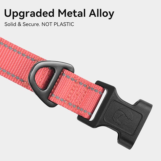 Joytale Reflective Dog Collar, Soft Neoprene Padded, Metal D-Ring, Nylon Pet Collar Adjustable for Extra Large Dogs, Neon Pink, XL