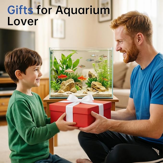 AQQA Automatic Fish Feeder 200ML, Programmable LCD Timer Auto Aquarium Feeder, Moisture-Proof Silent Fish Food Dispenser, Vacation Auto Feeder for Small Tank Betta Fish Turtle