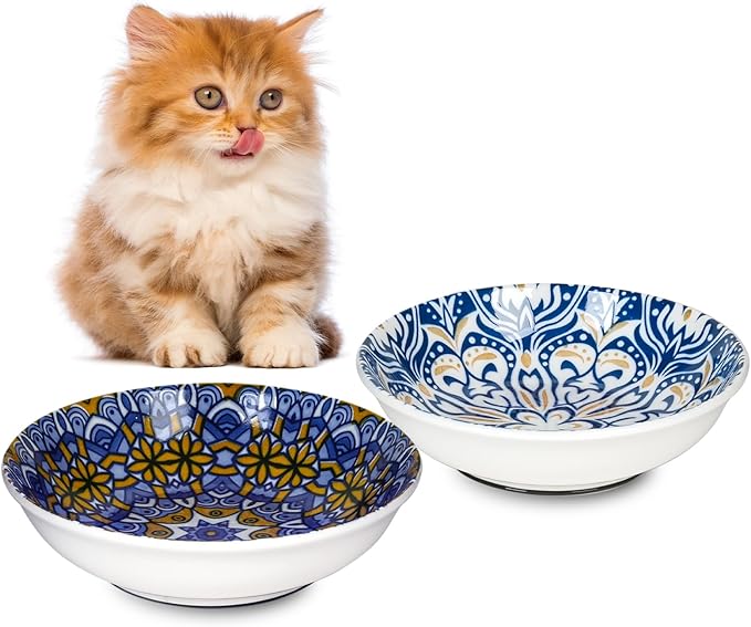 HAPPY KIT Ceramic Cat Food Bowl, Non-Slip Whisker Fatigue Cats Bowl, 5.75” Shallow Dish for Indoor, Boho Whisker Friendly Cat Bowls, Small Kitten Plates with Silicone Bottom