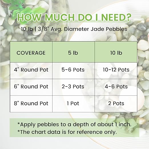 SIDONG 20 LB Jade Pebbles, 2/5 Inch Natural Decorative Polished Jade Stones, Jade River Rocks for Succulents, Cactus, Vases, Indoor Plants, Garden Landscaping, Bamboo