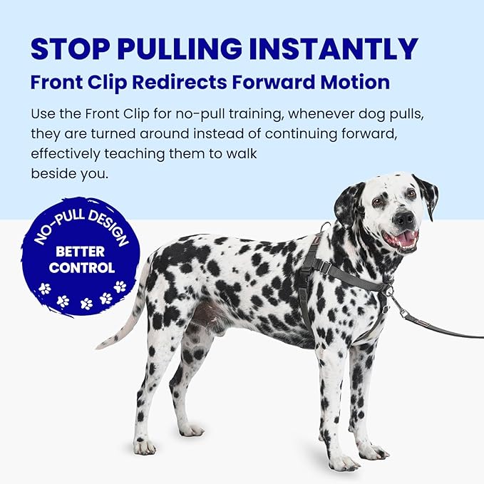 Freedom No Pull Dog Harness, Front Clip, Easy Walk, Dog Friendly with 2 Stainless D-Rings, Sewn-in Instructions Tags for Easy Use, for Large Dogs Weight 60-80 lbs (Black, L)