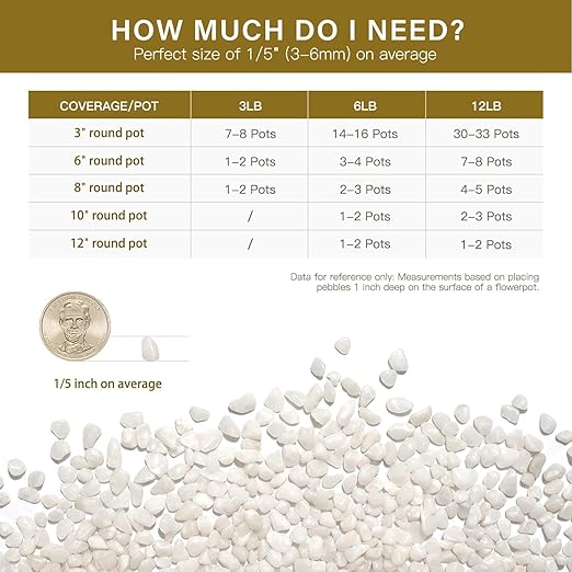 NUPICK 12 lbs Pebbles for Indoor Plants, 1/5 Inch Pea Gravel for Fish Tank, Polished Decorative Rocks for Succulent, Natural River Stones for Vases, Cactus, Landscaping, Bird Bath, Aquarium, White