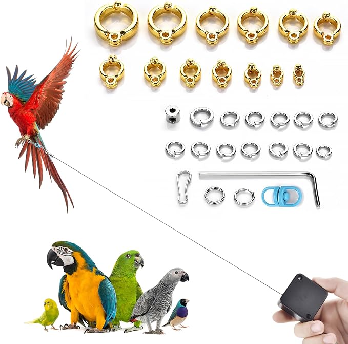 6.6Ft Bird Leash, with 13 Different Size Foot Ring Retractable Anti-Bite Parrot Harness, Bird Flight Training Rope for Budgies,Cockatiels,Psittacula Longicauda,Mini Macaws（Luxury Gold Color）