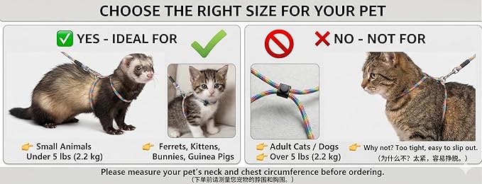 [3-Piece Set] Escape Proof Small Pet Harness and Leash - 10ft (3m) Retractable Lead & 2 Adjustable Rope Vests for Kittens, Ferrets, Rabbits, Guinea Pigs & Small Pets