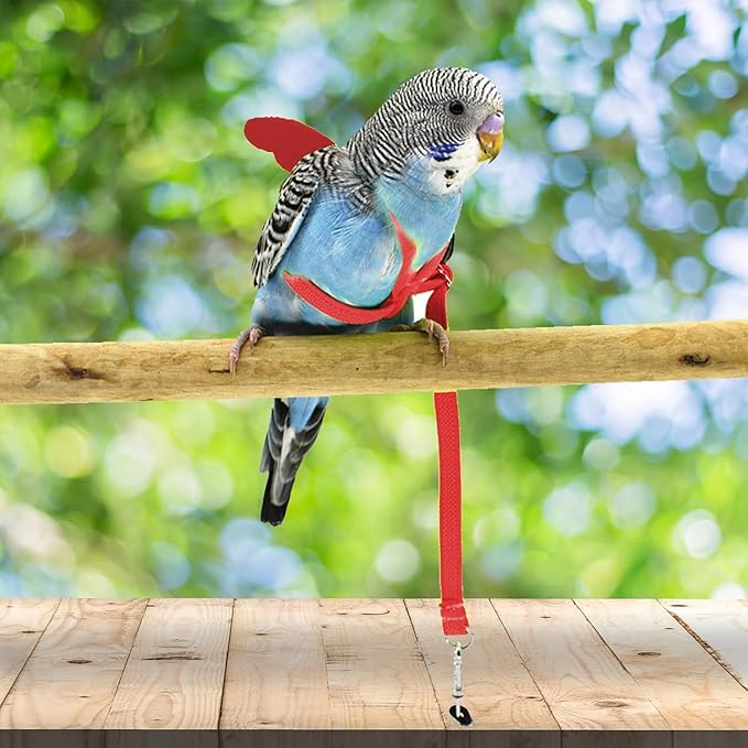 Birds Harness Leash Outdoor Flying Escape-Proof Adjustable Training Design Anti-Bite Bird Rope with Cute Wing for Parrots Scarlet Keck Mini Macaw Love Birds (Red)