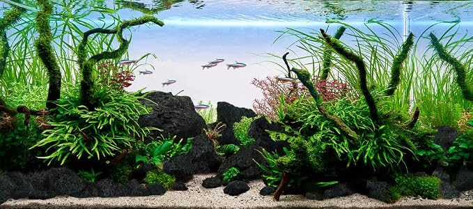 Kueiyang Hornwood Aquarium Driftwood 4pcs 12-16in Reptile Decor | Twisted branches; planted and reptile terrarium