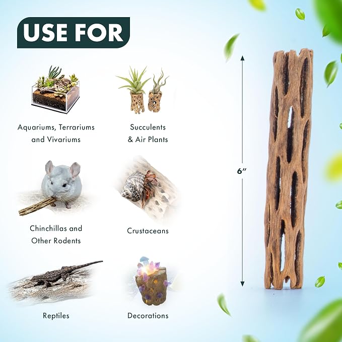 Natural Cholla Wood - Driftwood for Aquariums, Air Plant Base, Hermit Crab and Freshwater Shrimp Hideout, Fish Tank Decoration, Chinchilla Chews, Reptile Habitat Wood - 6 Inch, 5pc