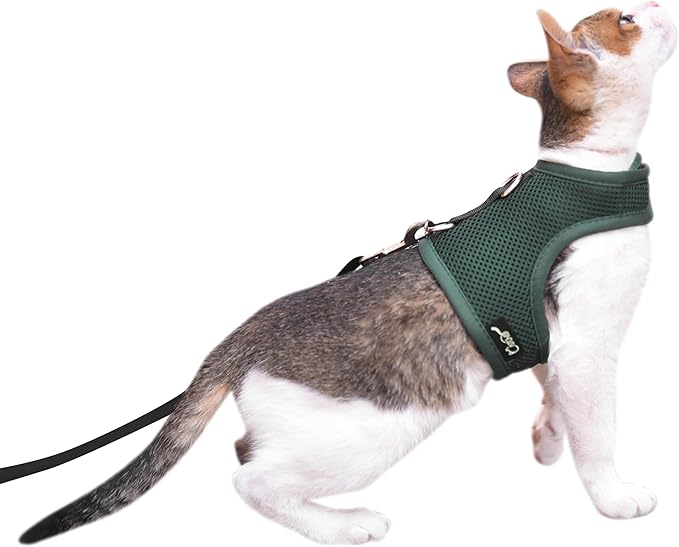 Kitty Harness and Leash for Walking Escape Proof Breathable Mesh Fabric, Solid Green, X-Small, Adjustable Cat Walking Jackets, Padded Stylish Cat Vest