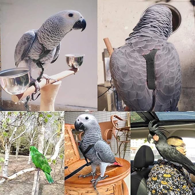 Parrot Harness Leash, Adjustable Buckle Elastic Rope Easy to Wear Convenient String for Cockatiel Lovebird Outdoor Playing Parties (XS)
