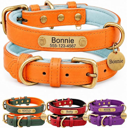 Leather Dog Collar Personalised and Leash Set, Personalized with Soft Padded Design Heavy Duty Featuring Custom Engraved Name Plate for Small Medium and Large Dogs