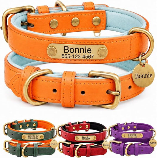 Leather Dog Collar Personalised and Leash Set, Personalized with Soft Padded Design Heavy Duty Featuring Custom Engraved Name Plate for Small Medium and Large Dogs