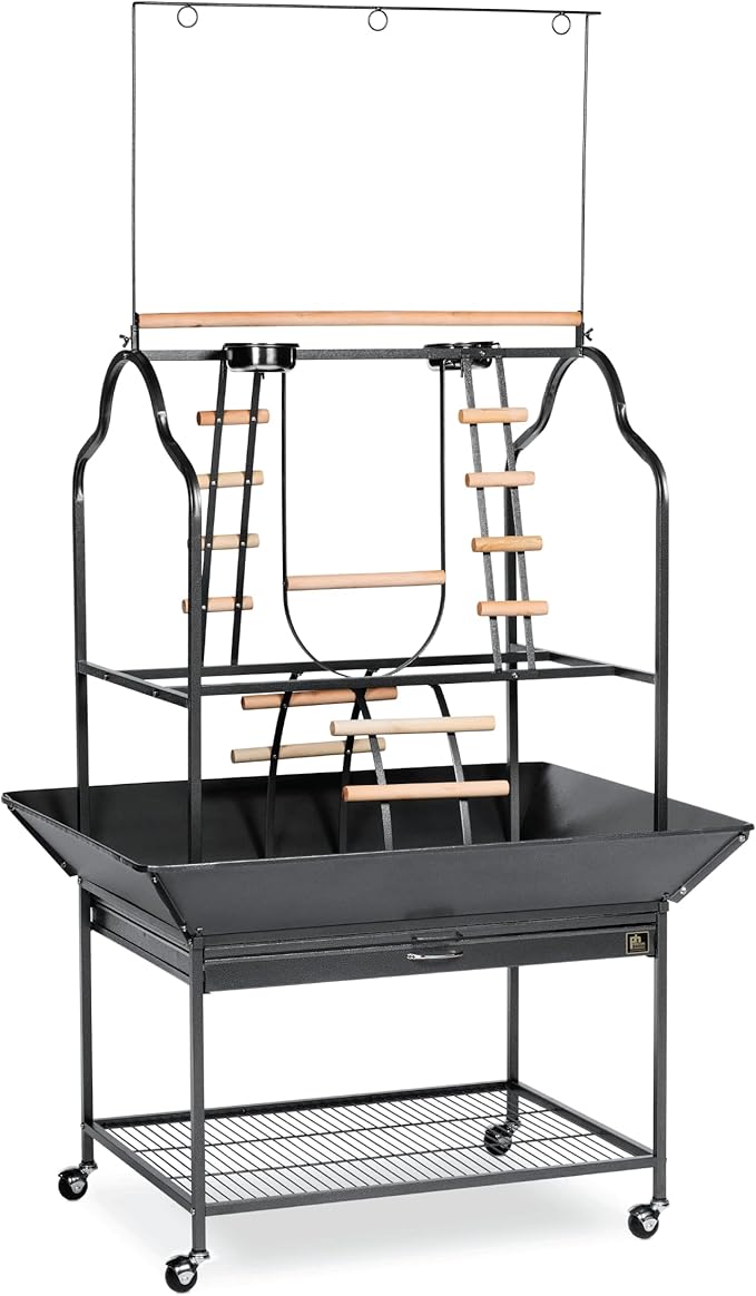 Prevue Pet Products Parrot Play Stand with Wheels - Rolling Bird Stand Play Center with Perches and Ladders, Indoor & Outdoor Playground for Birds with Swing, Enrichment Accessories - Black