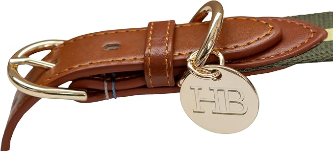 HARRY BARKER Duo Dog Leash and Collar, Small Green Collar