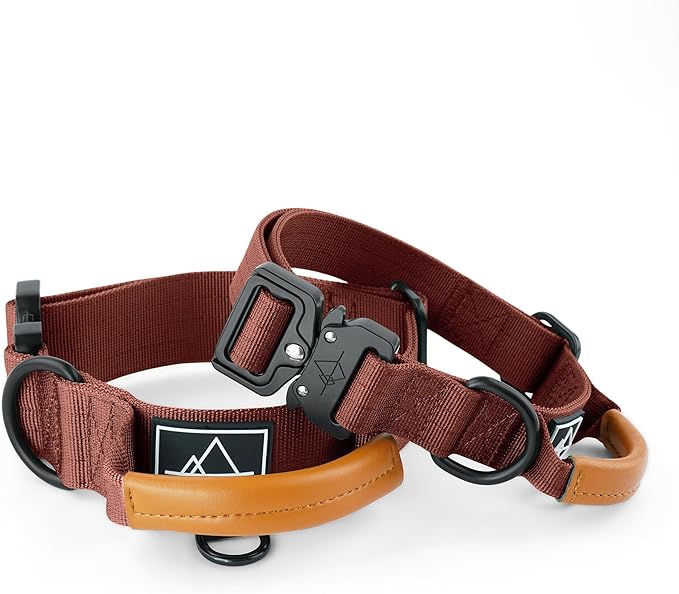 Made to ROAM Premium Explorer Control Collar - Adjustable Heavy Duty Nylon Dog Collar with Quick-Release Metal Buckle and Handle (Arizona Heartbeat, Control Size 5)