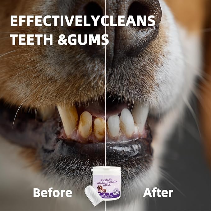 Cats Dogs Dental Care Finger Wipes - 50 PCS Tooth Brushing Kit Dental Wipes for Cats - Teeth Cleaning Finger Wipes for Dog & Cats - Reduces Dental Debris & Freshens Breath (CY_TeethWipes)