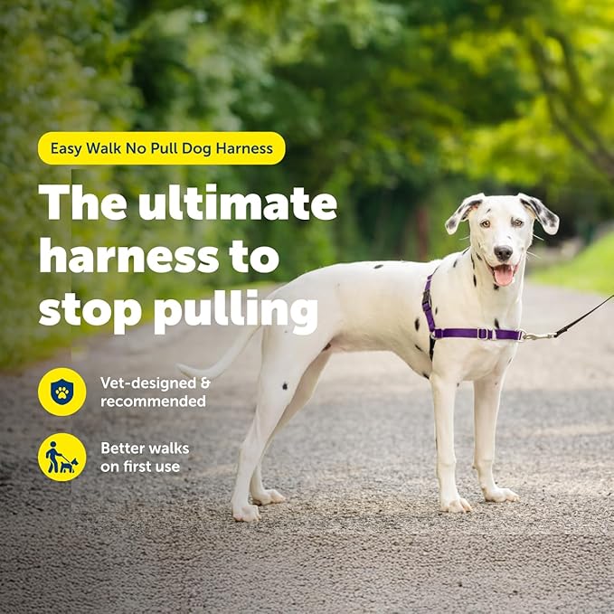 PetSafe Easy Walk No-Pull Dog Harness - The Ultimate Harness to Help Stop Pulling - Take Control & Teach Better Leash Manners - Helps Prevent Pets Pulling on Walks - Medium/Large, Black