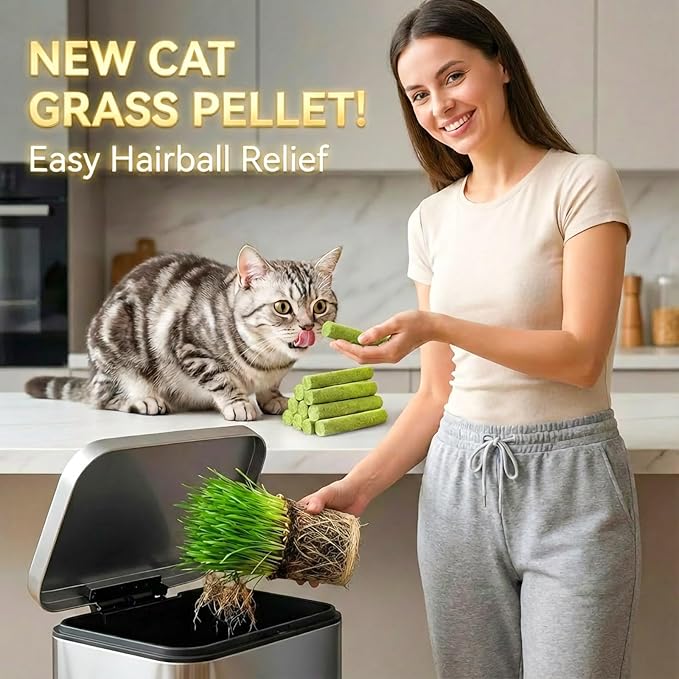 10Pcs/50g Cat Toys Kitten Freeze Dried Catnip Cat Grass Teething Stick Treat for Indoor Cats Edible Removal Hairballs Kitten Toys Kitty Chew for Cleaning Teeth Kitty Snack Dental Care