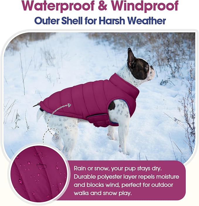 QBLEEV Reversible Dog Winter Coat, Waterproof Windproof Warm Jacket with Adjustable Hook & Loop Design, Lightweight Puffer Vest for Medium Dogs, Purple, M – Fits Pug, Beagle, Corgi