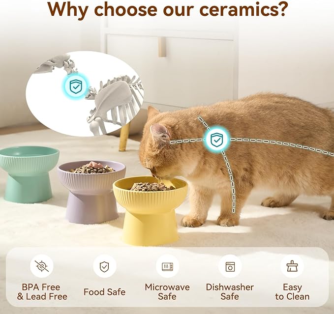 Ceramic Elevated Cat Bowls-Water Bowl, 15° Tilted Design, Anti-Vomiting & Spine Protection, Prevent Whisker Fatigue for Kittens to Adult Cats and Small Dogs (Black-Cat Shape-1)