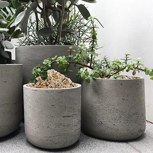 10lbs Coarse Sand Stone for Decorative Rocks, Soil Cover Bonsai, Succulent, Terrarium, Cactus, Aquarium, Garden, DIY, Natural Sand Top Dressing
