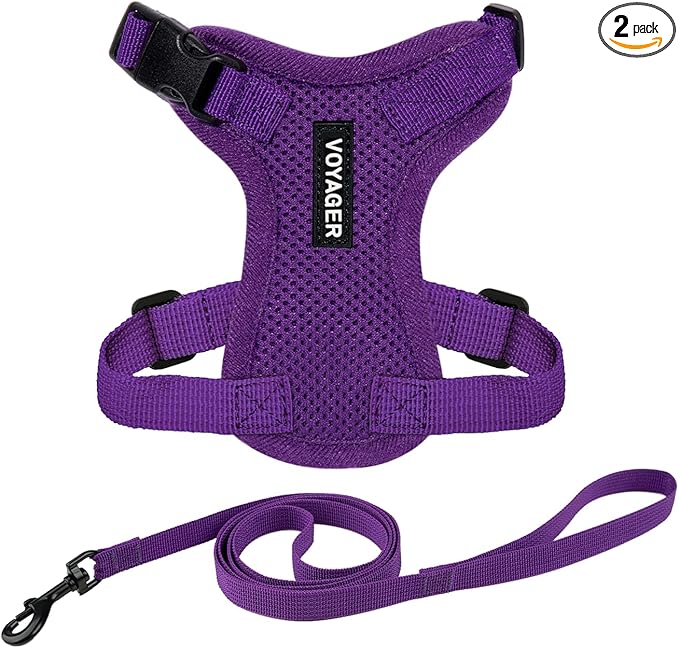 Voyager Escape-Proof Step-in Lock Cat Harness & 5ft Neoprene-Handle Leash Set All-Weather Mesh with Reflective Stitching for Small to Large Cats by Best Pet Supplies, Purple, XS