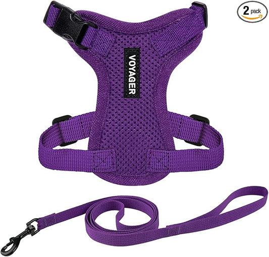 Voyager Escape-Proof Step-in Lock Cat Harness & 5ft Neoprene-Handle Leash Set All-Weather Mesh with Reflective Stitching for Small to Large Cats by Best Pet Supplies, Purple, XS