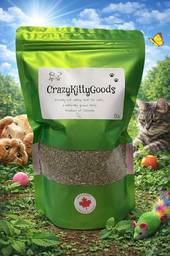 Catnip Leaf 100% Naural Grown Herb, Freshly Cut from Field. 100g/3.5oz Bags.