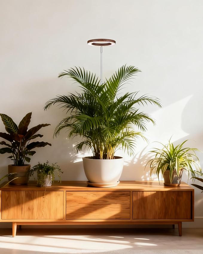 Grow Light for Large Indoor Plants, Full Spectrum LED Plant Light, Height Adjustable for Tall Plants, Auto On/Off Timer, 5V Safe Low Voltage Walnut Grain Grow Lamp for Home & Office