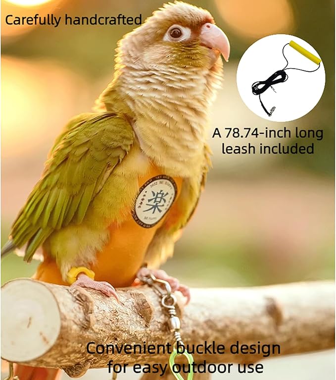 MANON ROSA Bird Diapers Leash Set Washable Reusable Handmade Flight Suit Waterproof Inner Layer - Protective Parrot Nappy Clothes Parakeets Macaws Budgies Canaries (Red5,Dove)