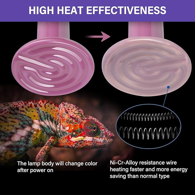 Simple Deluxe 150W 2-Pack Ceramic Heat Emitter Reptile Heat Bulb No Light, LCD Digital Aquarium Thermometer, for Reptile Amphibian, 4 Pack, Purple