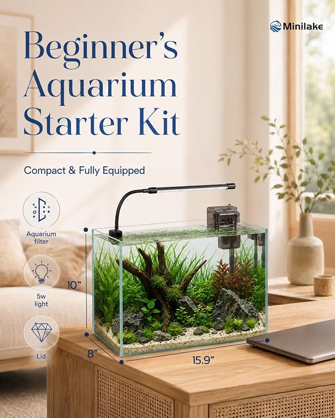 Glass Fish Tank Kit, 5 Gallon Betta Fish Tank Aquarium Starter Kit | Complete Aquarium Kit with Filter, Adjustable LED Light, Heater, Lid, Net, Water Changer for Betta, Goldfish or Shrimp, Clear