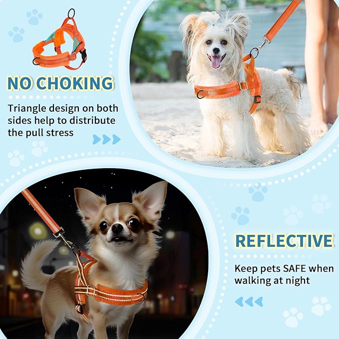 Lukovee No Pull Dog Harness and Leash Set, Soft Padded Small Dog Harness, Neck & Chest Adjustable Reflective Vest Puppy Harness with 4ft Lightweight Anti-Twist Dog Leash for Small Dogs (Orange, XXS)