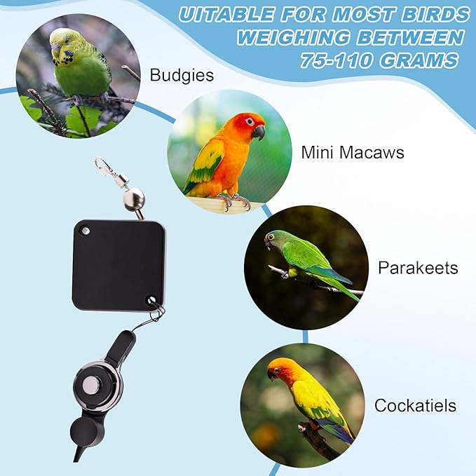 Retractable Bird Harness and Leash, Parrot Harness with Wing Design, Anti-Bite Bird Flight Training Rope for Budgies, Cockatiels, Mini Macaws (Blue)