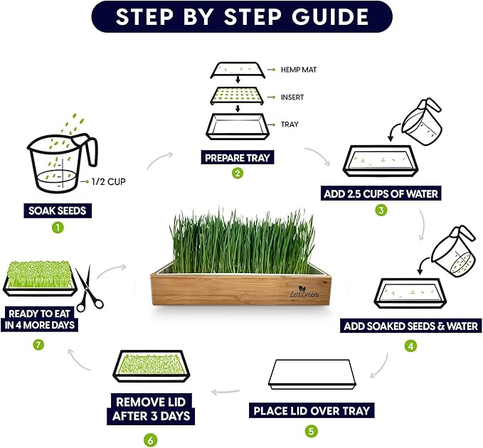 Self-Watering Cat Grass Kit – Grow Fresh, Living Cat Grass at Home in 5–7 Days | No Soil, No Mess | Organic Wheatgrass Seeds | Large Reusable Indoor Tray