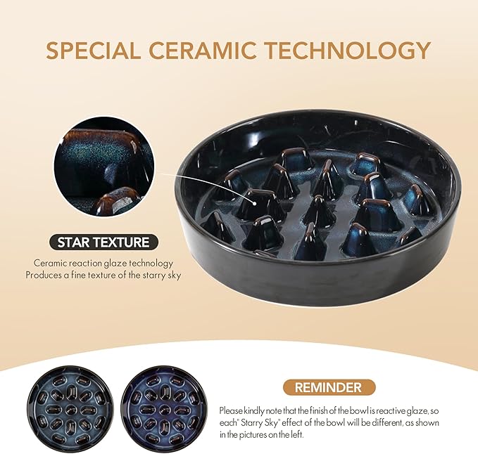 Havniva Slow Feeder Dog Bowls, 3.2 Cups Ceramic Dog Food Bowls 9.5 inch Slow Feeder for Large Dogs Puzzle Bowls for Fast Eater, Pet Slow Feeding Dish Anti-Choking