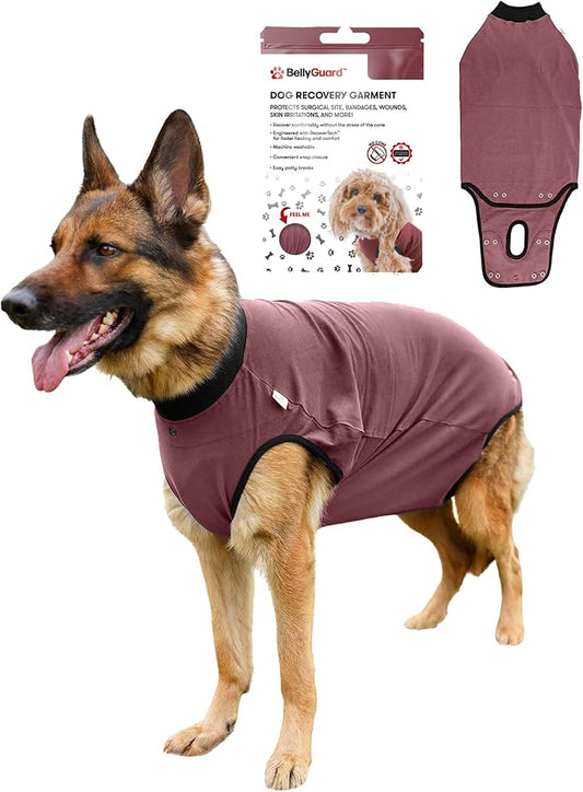 BellyGuard Dog Surgery Recovery Suit, Dog Onesie for Post-Op Care, Recovery Apparel for Female and Male, Surgical Body Cover for Canine Healing Support