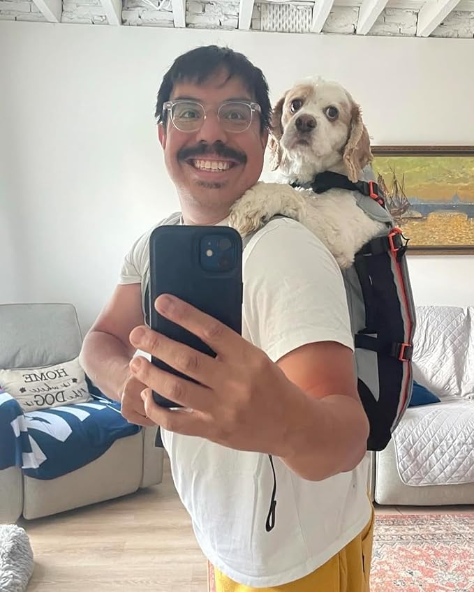 Maxine One Dog Backpack Carrier for Medium Dogs by Little Chonk | Adjustable & Ergonomic Front Facing Dog Carrier Backpack | Built to be Safer | Pet Backpack Carrier Featured in Wired Magazine - Gray