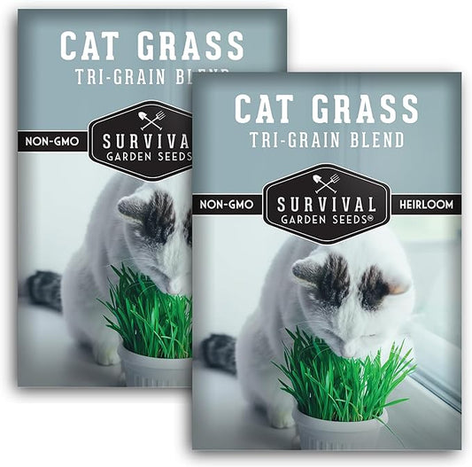 Cat Grass Seeds for Planting – Grow Pet Greens Indoors or Outdoors – Heirloom Non-GMO Tri Grain Blend – Survival Garden Seeds (2 Pack, Seed Only)
