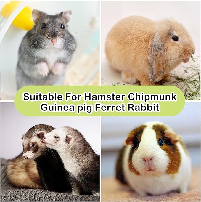 Natural Sweet Bamboo Grass Cake for Grinding Teeth,Rabbit Chew Toys Snack Hanging Guinea Pig Cake Toys String for Bunny,Chinchilla,Guinea Pigs,Squirrel,Gerbil (4PCS)