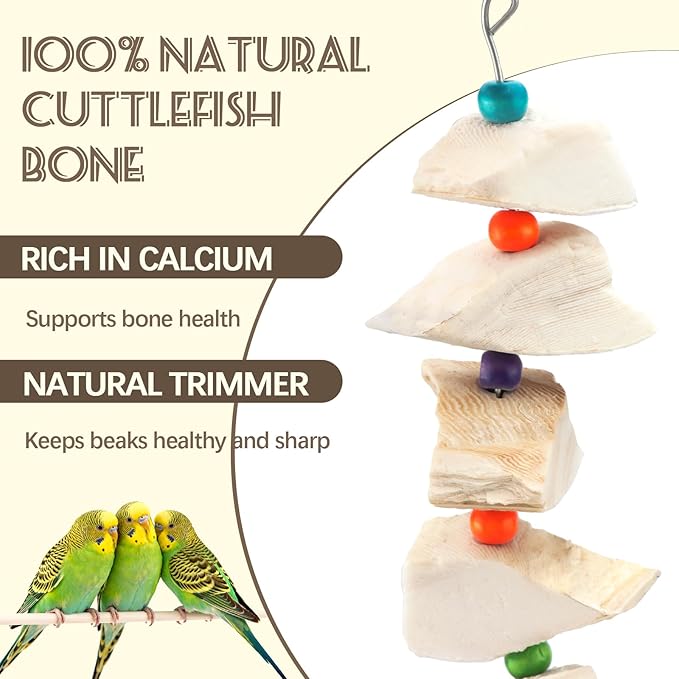 2 Pack Bird Cuttlebone Chew Toys, Cuttlefish Bone for Birds Beak Grinding Stone, Natural Calcium Supplement Cage Accessories for Parakeets, Budgies, Cockatiels, Lovebirds, Small Medium Birds