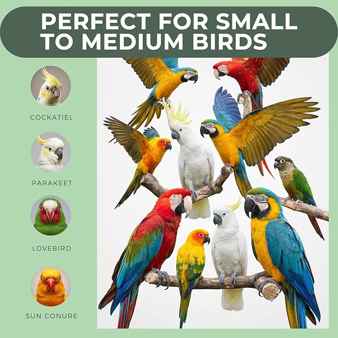 12 Pcs Natural Bird Perches and Shreddable Parakeet Toys, Essential Parrot Cage Accessories with 8 Wood Standsand 4 Shreddable Parakeet Toys, Foraging Shredder and Bird Accessories for Cages