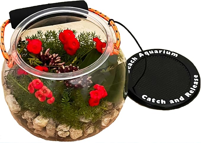 Dry Branch Sports Design Catch and Release Beach Aquarium Kit , Clear