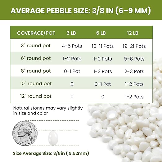 3/8 Inch Polished Decorative Pebbles, River Rocks for Indoor Plants, Succulents, Planters, Vases, Fish Tank, Aquarium Gravel & Landscaping, Snow White, 3LB